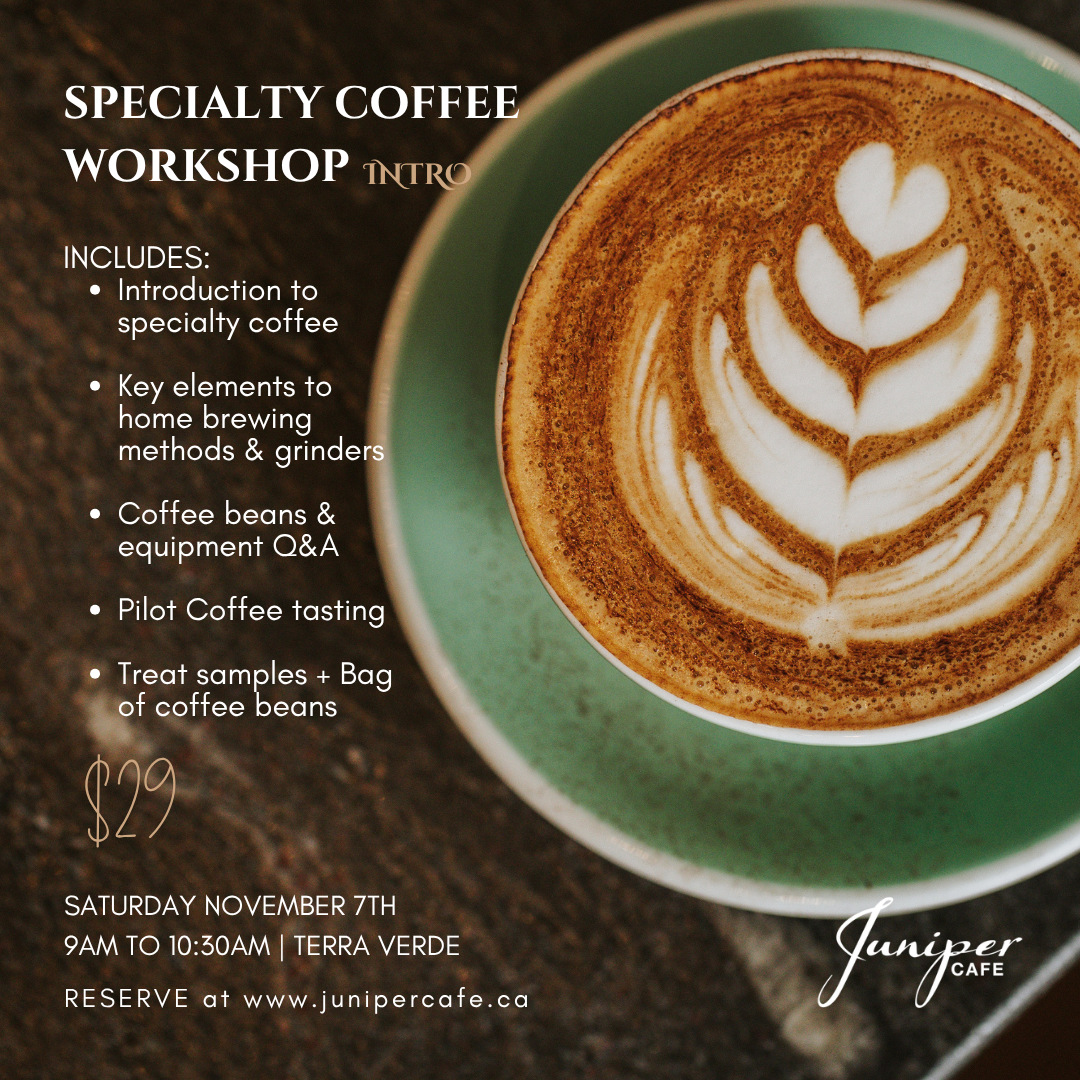 Specialty Coffee Workshop (Intro) | Nov 7th