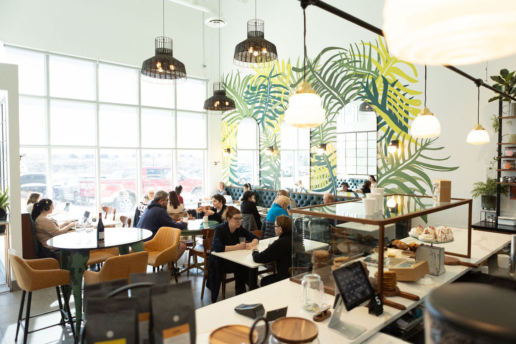 This shows a picture of the Terra Verde Venue location, including graphics on the wall and lighting conditions.